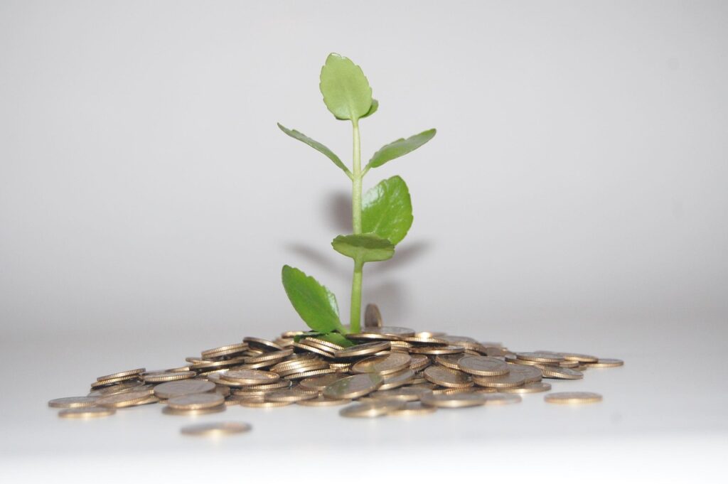 cigarettes, ashtray, money, waste of money, smoking, addiction, plant, leaves, nature, money, money, money, money, money
